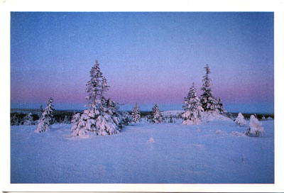 Postcard from Juha